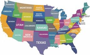 State flowers there are 50 us official state flowers that have been designated by the state's local government. 50 State Flowers State Tree State Birds And 50 State Nicknames Usa