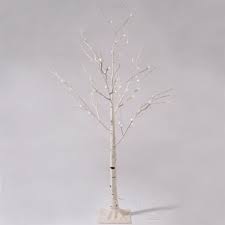 Genre d'arbres de la famille des bétulacées. Grand Arbre Bouleau Lumineux Alpin Blanc Froid Cdiscount Maison