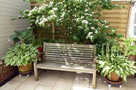 Check spelling or type a new query. How To Create Shade In A Small Garden Houzz Uk
