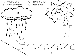 All children like to color. Water Cycle Drawing Colour Novocom Top