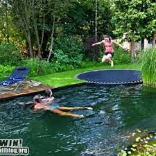 I Found In Ground Trampoline Pool On Wish Check It Out Dream Backyard In Ground Trampoline Backyard
