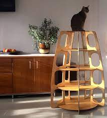 Pin On Cat Climbing In Style