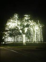 Houston River Oaks Light Show One Of The Best Places In Texas To Go See Christmas Lights Outdoor Christmas Lights Christmas Tours Outdoor Christmas