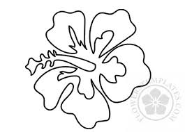 A page with four smaller hibiscus flowers. Printable Hibiscus Flower Outline Flowers Templates