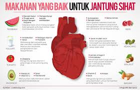 Salah satu makanan terbaik untuk jantung yang sihat adalah oat yang mempunyai banyak manfaat untuk badan termasuk jantung. Bernama On Twitter Infografik Makanan Yang Baik Untuk Jantung Sihat