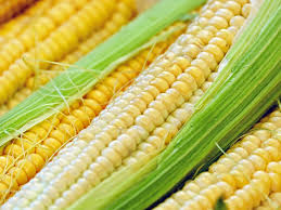 We did not find results for: Manfaat Jagung Bagi Kesehatan Watyutink