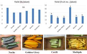 700+ vectors, stock photos & psd files. Summer Squash Cultivar Selection For High Tunnel Production Purdue University Vegetable Crops Hotline