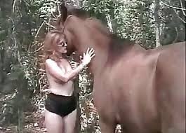 Anus Porno Videolar Hayvanlarla Cinsel Iliski At Siktir Et En Populer Sayfa 1