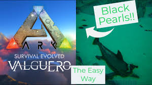 Learn how to spawn the ark item cactus sap. Valguero Black Pearls Location And Gathering On Official Youtube