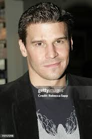 1,708 David Cumming Stock Photos, High-Res Pictures, and Images