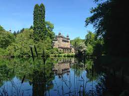 Read customer reviews & find best sellers. Ipa Ibz Gimborn