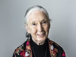 Judy Goodall's Instagram, Twitter & Facebook