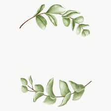 Download Premium Png Of Minimal Floral Frame Transparent Png 2032910 In 2020 Floral Poster Leaves Illustration Frame Border Design