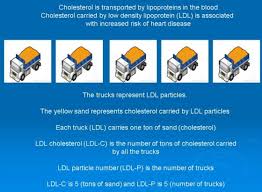 ldl cholesterol particle number and particle size made easy