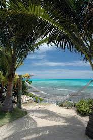 Peaceful Orchidaorchid Beautiful Places Beautiful Beaches Dream Vacations