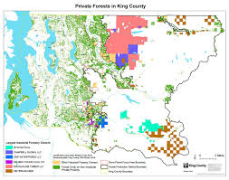 Who Owns King County Forestlands Renton Reporter