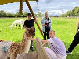 A new animal hospital opening soon with FANTASTIC Murals... the inside…