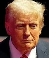 Donovan Chu's Instagram, Twitter & Facebook