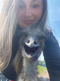 Liberty Mutual Insurance