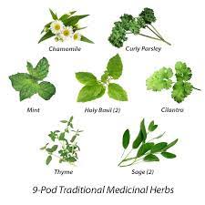 Traditional Medicinal Herbs Seed Pod Kit 9 Pod Herb Seeds Herbs Medicinal Herbs