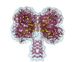 Scientists Discover Enzyme That Turns Air Into Electricity, Providing A New  Clean Source Of Energy | Biochemistry