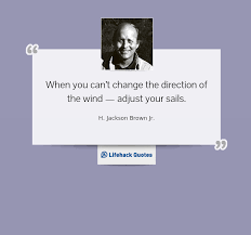 Daily Quote What To Do If You Can T Change The Direction Of The Wind
