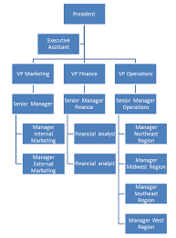 Vertical Horizontal And Matrixed Organizations And Why