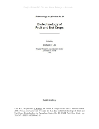 Pdf Persea Americana Mill Avocado
