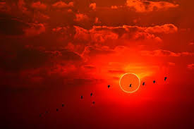 For the vast majority of us who won't be able to make it to the path of annularity this time, make plans to. B2giw5izzb8rbm