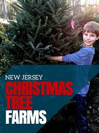 These 14 places in new jersey have the most unbelievable christmas decorations. 50 New Jersey Christmas Tree Farms Jersey Family Fun