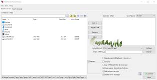 Faststone Photo Resizer 4 3 Full Version Kuyhaa