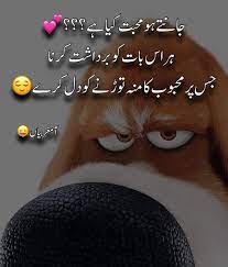 We did not find results for: Bakhtawerbokhari Fun Quotes Funny Funny Memes Funny Quotes