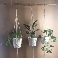 Nah, daripada membeli pot untuk digantung, kamu juga bisa membuatnya sendiri lho! Tali Saja Tidak Pakai Pot Plant Hanger Pot Gantung Tanaman Hias Gantungan Pot Dekoras Shopee Indonesia