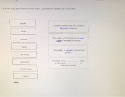 Special terminology is used to prevent misunderstanding exact terminology is used for: Solved Saved Correctly Label The Following Regions And Qu Chegg Com