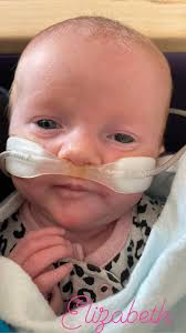 Cathy Kline (@klinecathy) • Instagram photos and videos