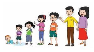 Ciri Ciri Pubertas Pada Anak Laki Laki Dan Perempuan Dapat Dilihat Dari Perubahan Fisik Tribunnews Com Mobile