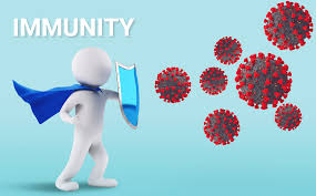 Image result for Immunity