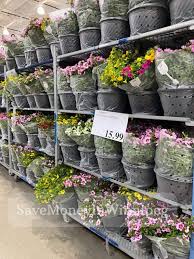 Give your garden that finishing touch with garden fencing and edging that keep your flowers and bushes neatly contained. Does Costco Have Garden Centre Open