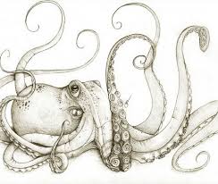 Beatrices On We Heart It Visual Bookmark 10746201 Octopus Art Octopus Drawing Octopus Tattoos