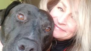 Fundraiser by Danielle Mannix : Helping Robbie Landis Anderson Heal