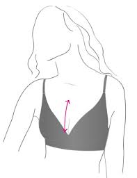 Page is taking longer to load than expected. Bra Fit Guide Lingerie M S