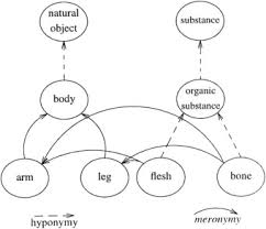(semantics) the relationship of being a constituent part or member of something; Extending Wordnet With Ufo Foundational Ontology Sciencedirect