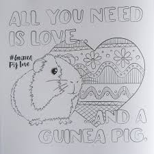 Pin On Andys Guinnie Piggies
