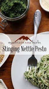 Pin On Homesteading Survival