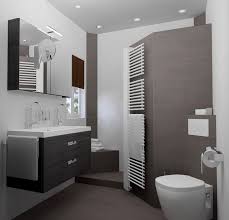 Modern bathrooms are now on top but transitional and contemporary, tied for second among. Small Bathroom In 3d Design Sani Bouw Archello