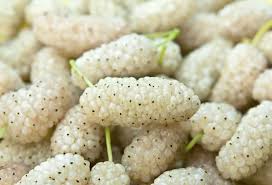 Mulberries Calm A Stressed Nervous System Support Bone Tissue Growth And Strengthen The Eyes Mulberry Recipes Mulberry Fruit Mulberry Benefits