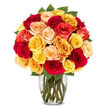 Send flowers to someone today. Two Dozen Fall Roses At Send Flowers