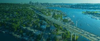 Image result for Vepris allenii