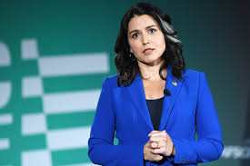 Tulsi gabbard (democratic party) is a member of the u.s. Tulsi Gabbard 2020 Everything You Need To Know About The Candidate People Com