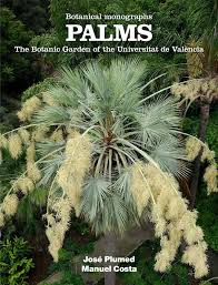 Though many palm varieties would languish in this marshy environment, paurotis palms prefer to grow in wet conditions. Palms Botanical Monographs By Jardi Botanic De La Universitat De Valencia Issuu
